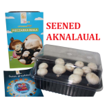 Komplektid seenekasvatuseks siseruumides