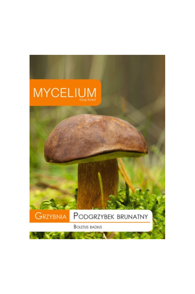 Boletus Badius.png