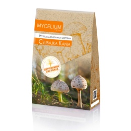 Suur sirmik (Macrolepiota Procera)