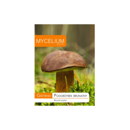 Mustjas puravik (Boletus Badius)