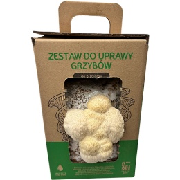 Lõvilaka (Hericium erinaceus) kasvatuskomplekt