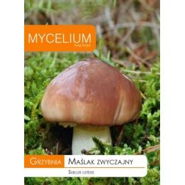 Võitatik (Suillus luteus)