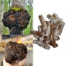 chaga.jpg