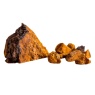 chaga2.jpg