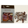 reishi 1.jpg